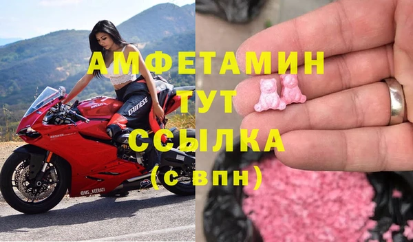 стаф Баксан